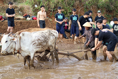 desa wisata nglanggeran di jogja